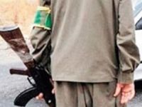 PKK, Diyarbakır'da yol kesti, 2 aracı yaktı