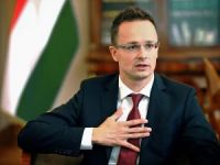 'Vişegrad Grubu ülkeleri makul duruş sergiliyor'