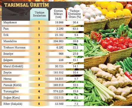 hatay_74.jpg