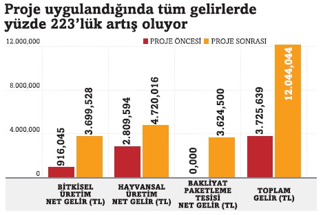 proje1.jpg