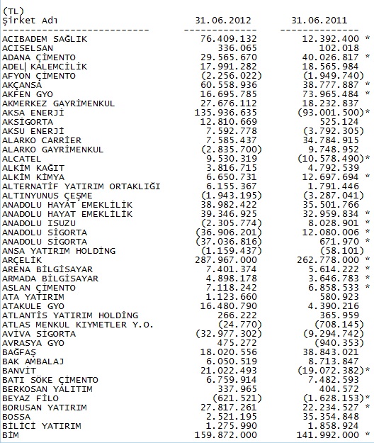 sirketbilanco1.jpg