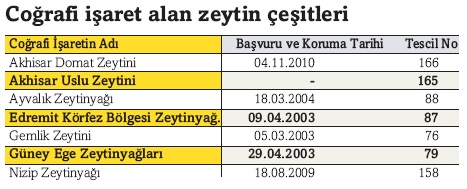 zeytin.jpg